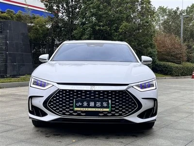 2022. aasta BYD Han DMp 202KM 4WD lipulaeva väljaanne